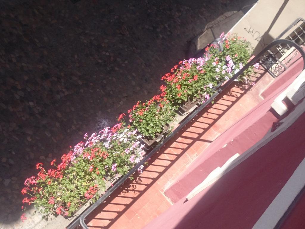 Hostal El Centro ويسكا المظهر الخارجي الصورة